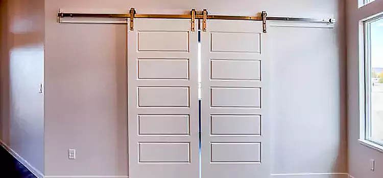 Glass Barn Door with Installation Hardware Kit Dundalk