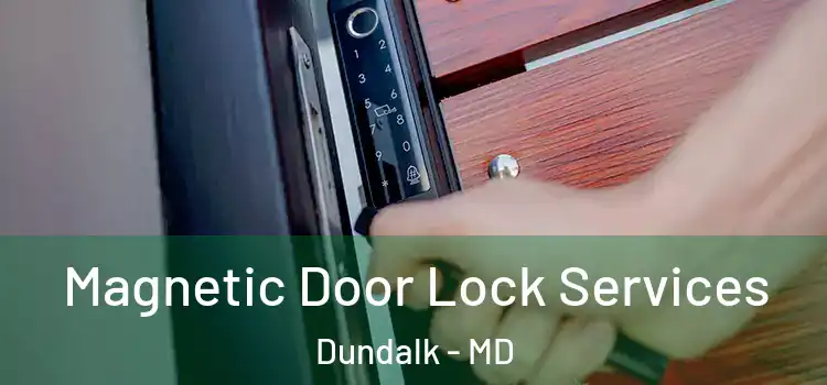 Magnetic Door Lock Services Dundalk - MD